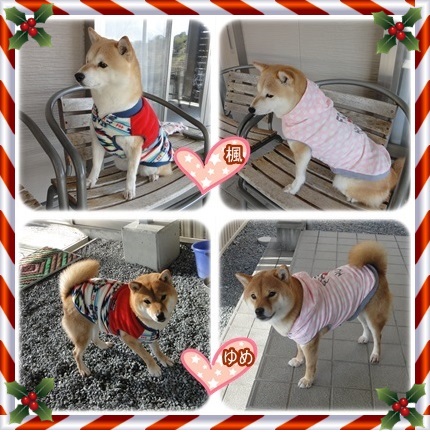 クリスマス♪