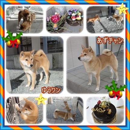 クリスマス♪