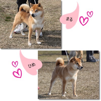 祝♪