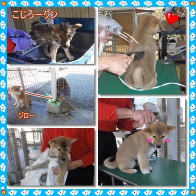 産まれました♪