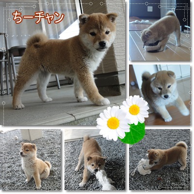充実。。