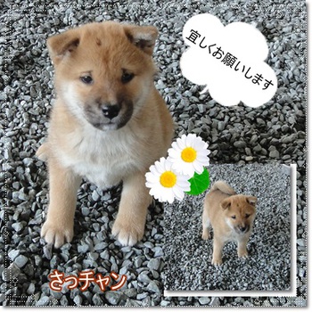 充実。。