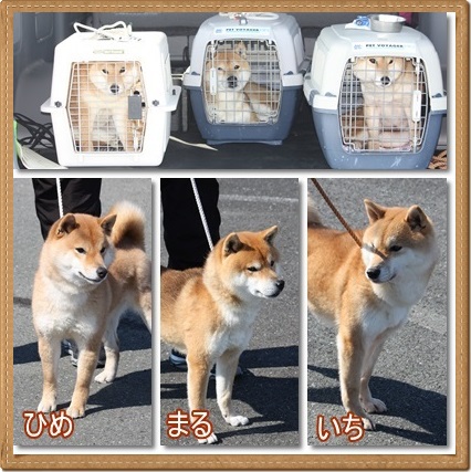 充実。。