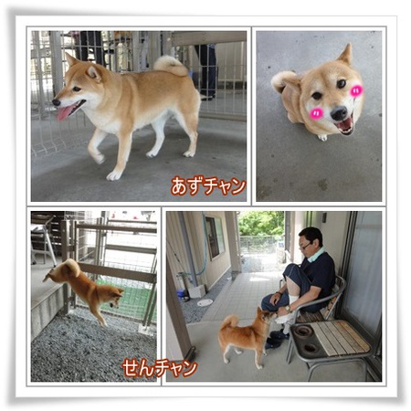 いいね！！