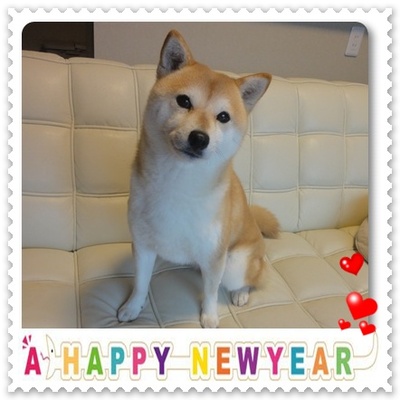 新年♪