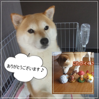 感謝♪
