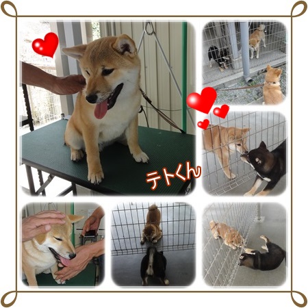 似たもの。。