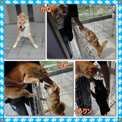 ばったり。。