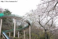 こうなる予定だった・・・ 2013/04/02 18:58:27