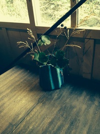 秘境のCAFE!!