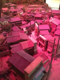 解体協力会慰安旅行Ⅳ！ 2013/11/18 20:35:13