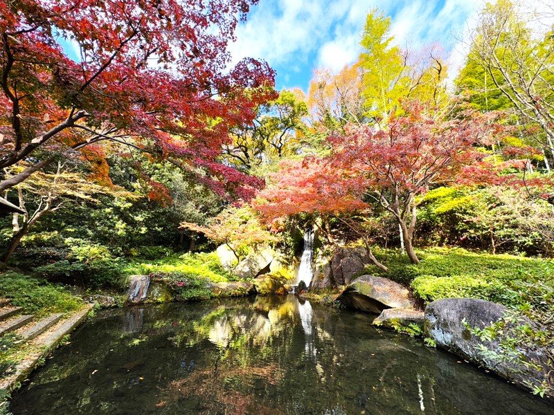 浜松城公園