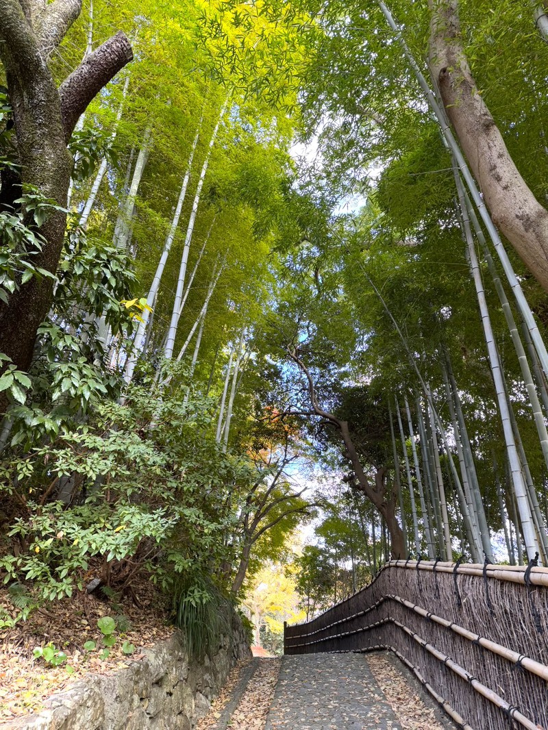 浜松城公園