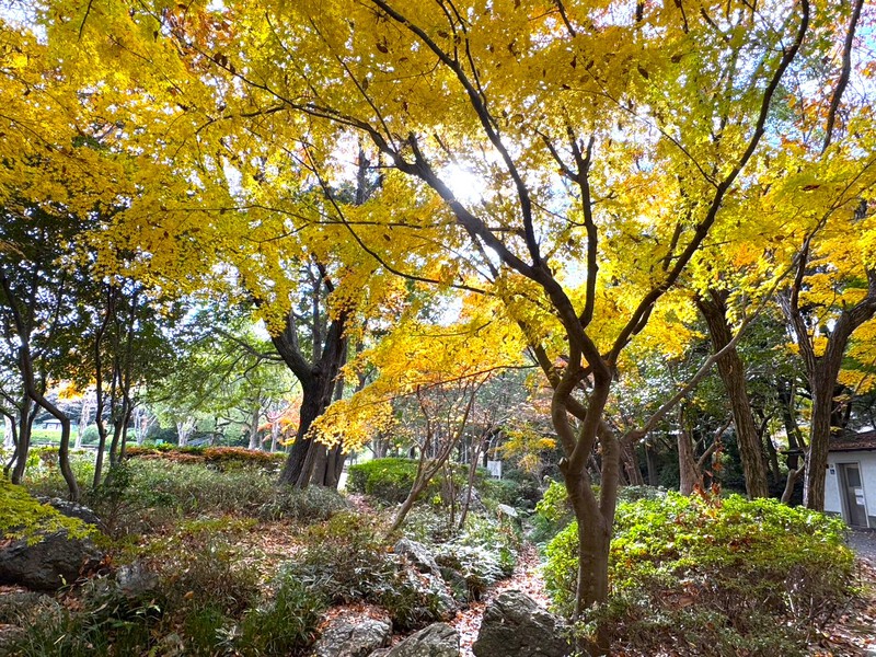 浜松城公園