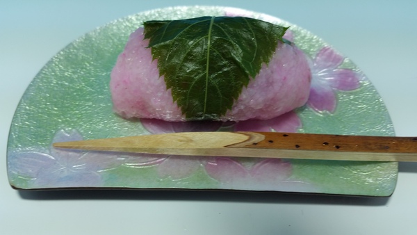 春満開