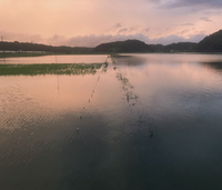 大雨が降ると、、