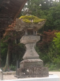朝カツ部