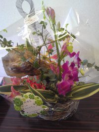 限定コースのご案内！！ 2014/09/11 13:26:08