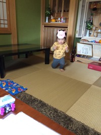 ２歳のＲ君です！ 2016/03/23 12:57:24