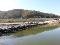 鎮川の籠橋 2014/10/30 09:26:38