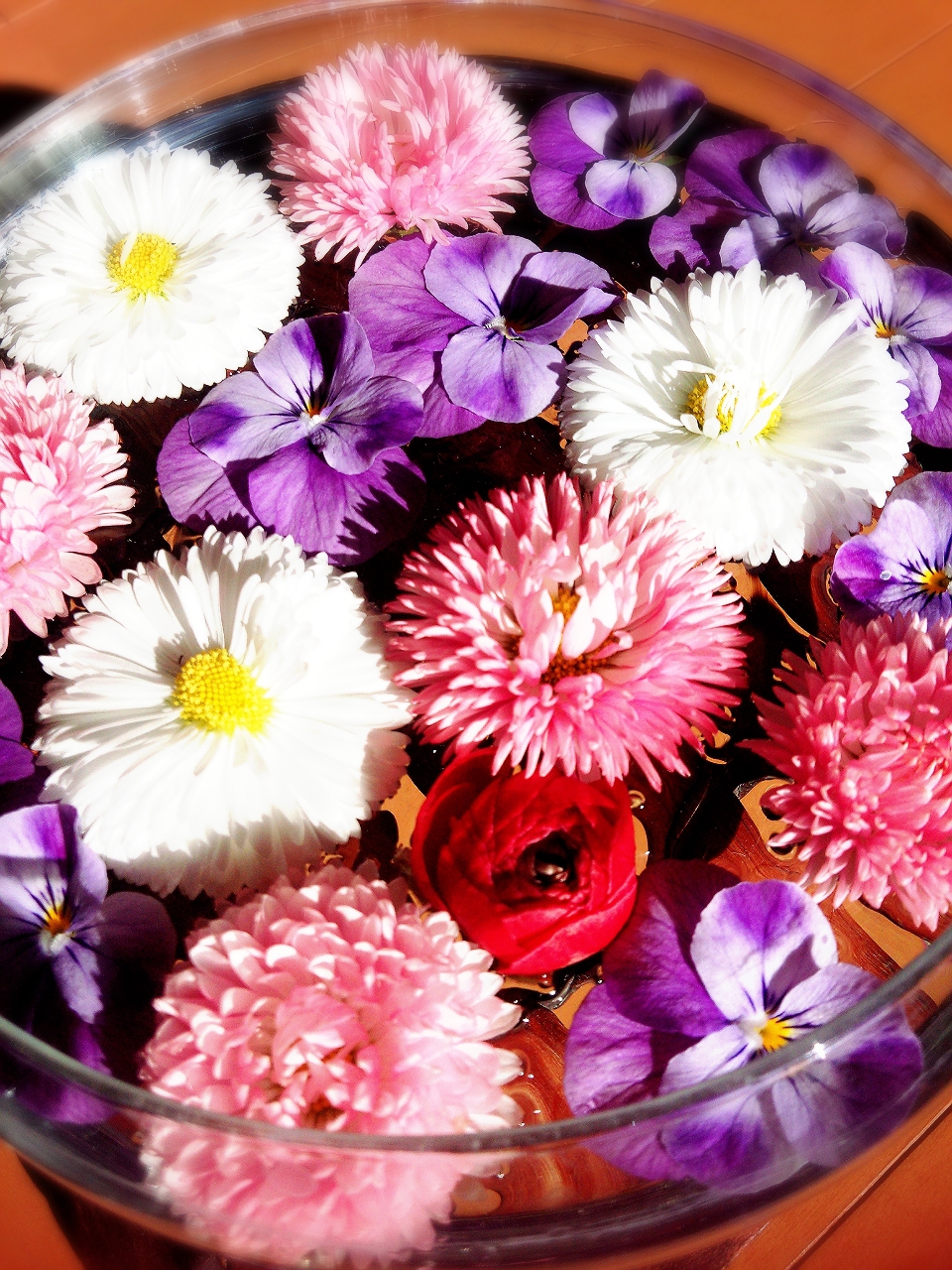 本日のKapua～花～