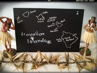 hawaiian islands