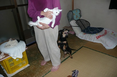 おてんば！