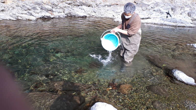 2019-気田川渓流釣り解禁前日