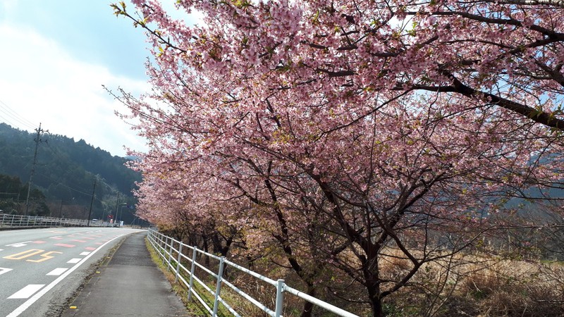 2019-気田川渓流釣り解禁前日