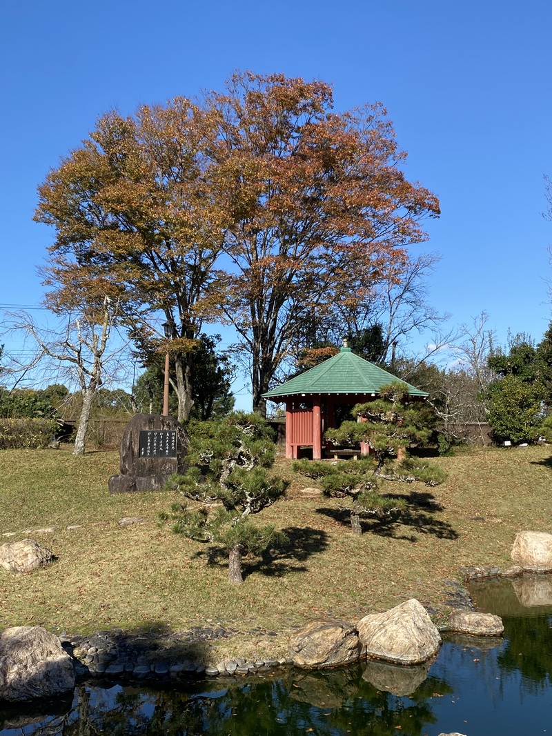 万葉の森公園の初冬