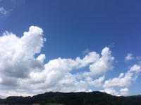 本日はPOLAさんが来ますよーっ✩︎⡱ 2017/07/21 11:17:18