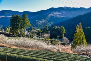懐山の里 懐山の里