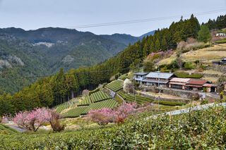 引佐町大代(3)〈最終回〉 引佐町大代(3)〈最終回〉
