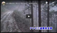 山に飲まれて消えた里(テレビ三遠東栄支局)