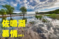 佐鳴湖慕情 2021