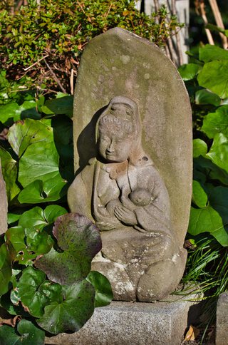万葉の森公園 万葉の森公園