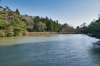 万葉の森公園〜浜北森林公園(ai動画含む) 万葉の森公園〜浜北森林公園(ai動画含む)