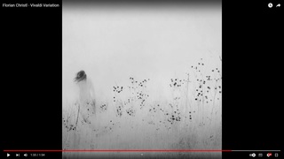Florian Christl - Vivaldi Variation