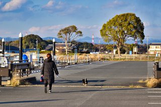 【伊佐見公共マリーナ（はまゆうマリーナ）〈最終回〉】＆【都田総合公園】