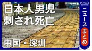 上川陽子!あなたは総裁選に出ている場合か!? 上川陽子!あなたは総裁選に出ている場合か!?