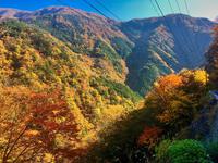 畑薙大吊橋　01-10