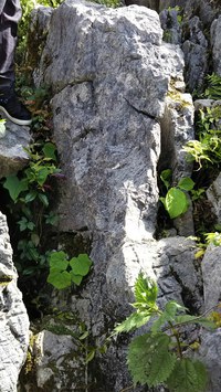 秋のノルディック・ウォーク「滝沢展望台～立須」コース下見をしました。