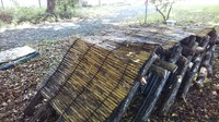 椎茸の本伏せ作業