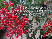 年末年始 店舗の営業について 2021/12/30 11:52:24