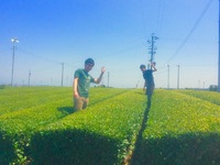 林、豊田の静岡散策！