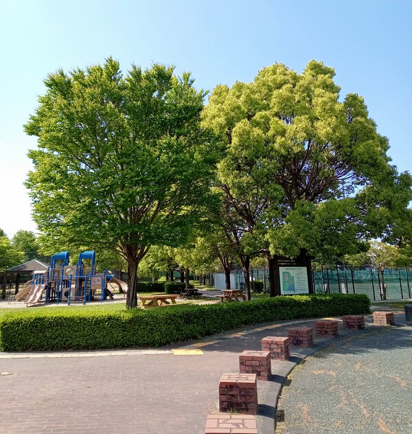 今週のここみの森〜出張ひろば、子育て相談、２歳あつまれ、プレパパママ教室、発達相談＆多文化☆長期休暇支援中！