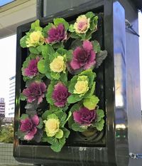 股関節が痛く正座ができなかったのに、できるようになった♪♪