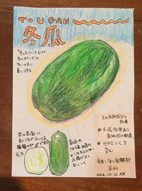やさいのはなし#9  冬瓜