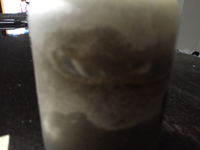 えっ(°°\)三(/ ° o°)/