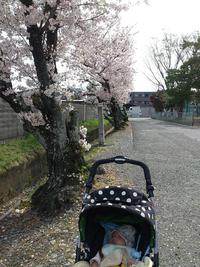 春です！やります！！こどもプロジェクト！！！ 2014/04/06 23:09:43
